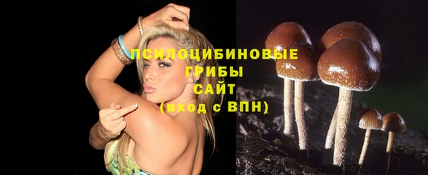 гидропоника Аркадак
