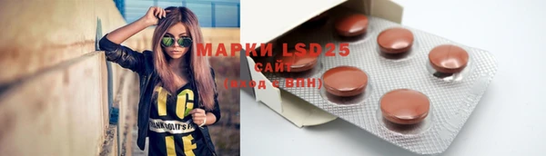 гидропоника Аркадак