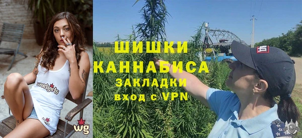сатива Армянск