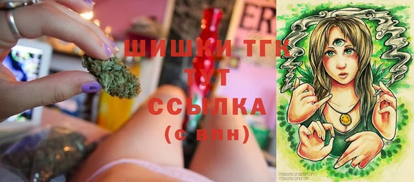сатива Армянск