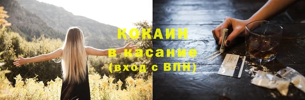 сатива Армянск