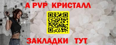 шишки Кингисепп