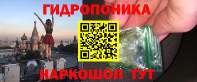 спиды Канаш