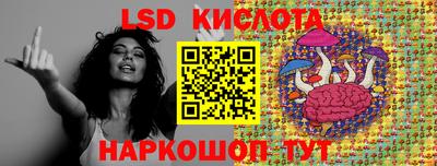 шишки Кингисепп
