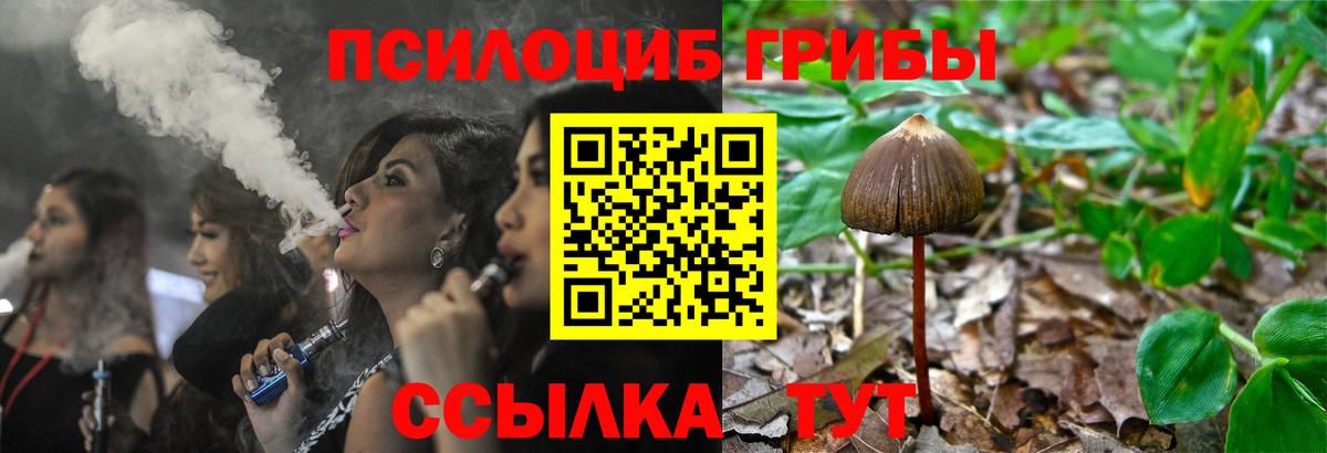 Кирово-Чепецк  Псилоцибиновые грибы Cubensis  Вход с VPN 